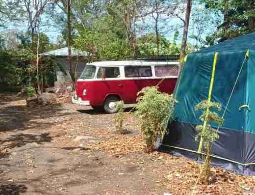 Camping Monte los Olivos