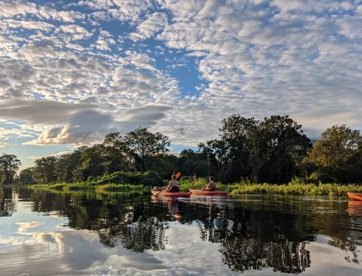 Kayak Tour on Istiam River