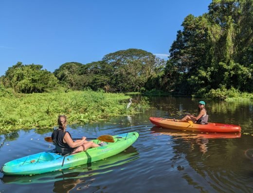 Kayak rental