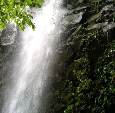 Tichana Waterfall Jungle Excursion